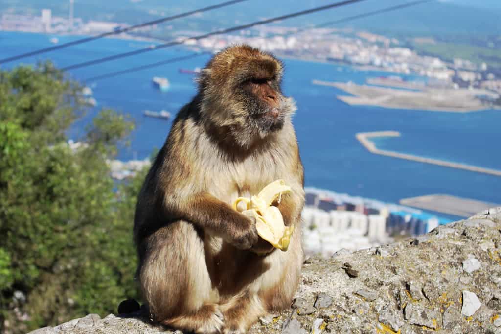 Gibraltar