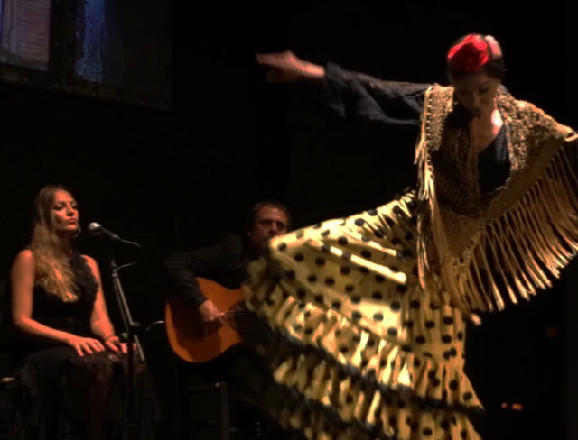 Spettacolo di flamenco 02