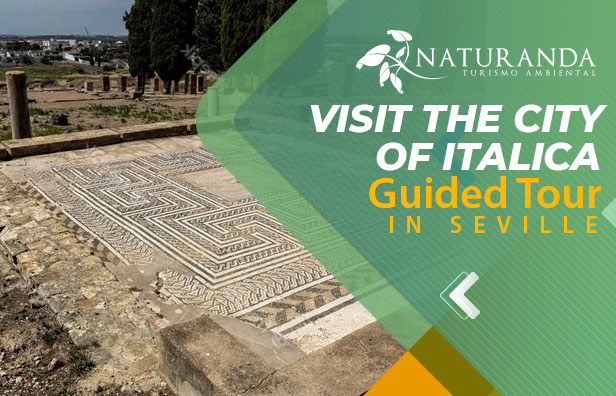 Info Ruins Of Italica