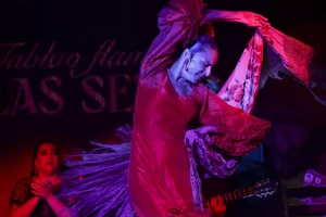 Flamenco Las Negras Show Flamenco Sevilla