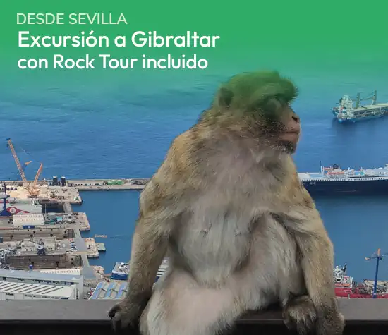 Cuadros Visitas A Gibraltar