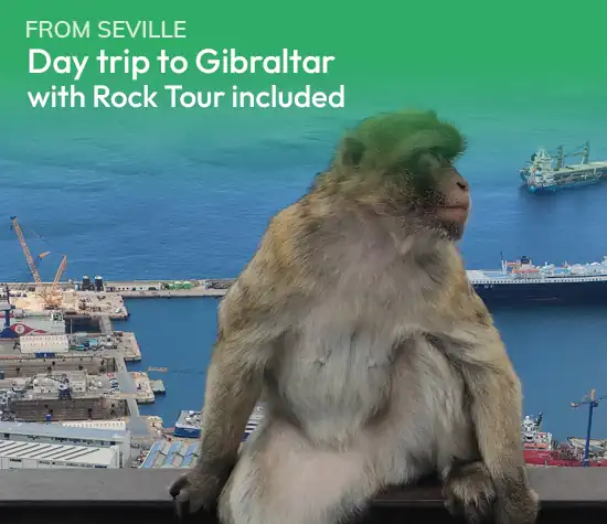 Cuadros Visitas A Gibraltar En