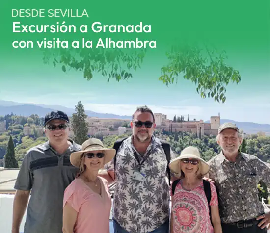 Cuadros Visitas A Granada
