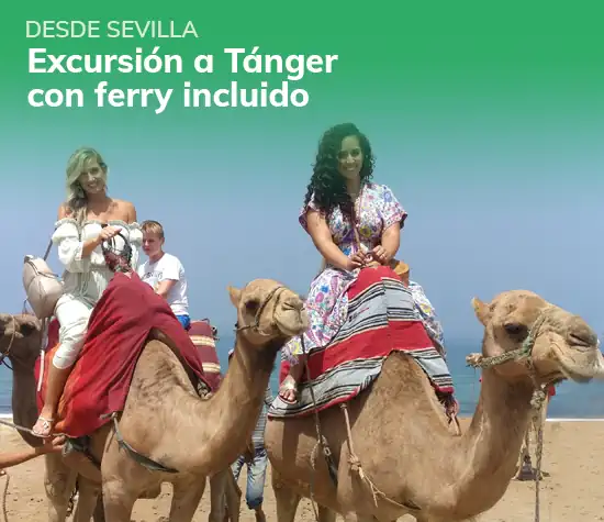 Cuadros Visitas A Tanger
