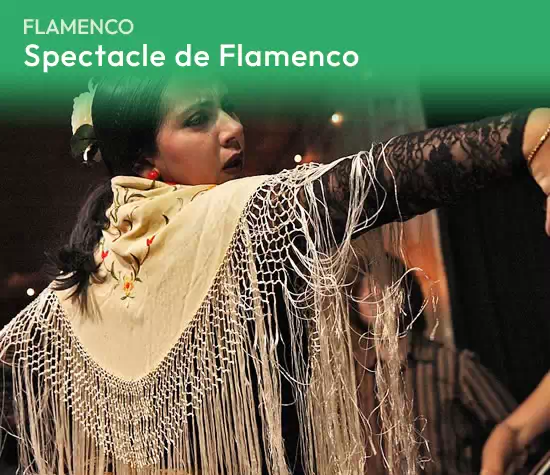 Cuadro Flamenco Solo Fr