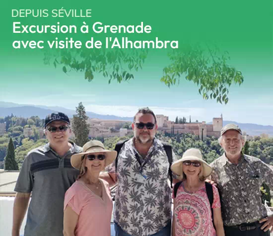 Cuadros Visitas A Granada Fr
