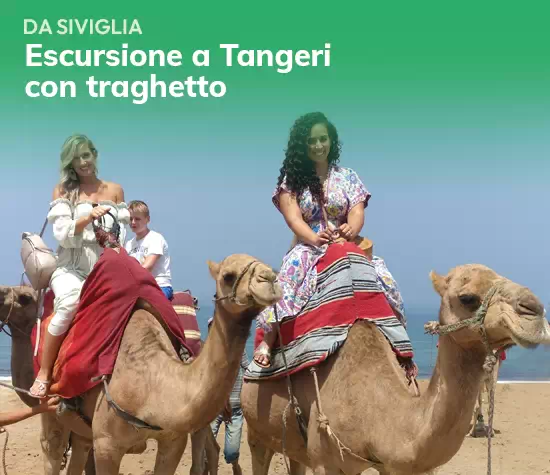 Cuadros Visitas A Tanger It