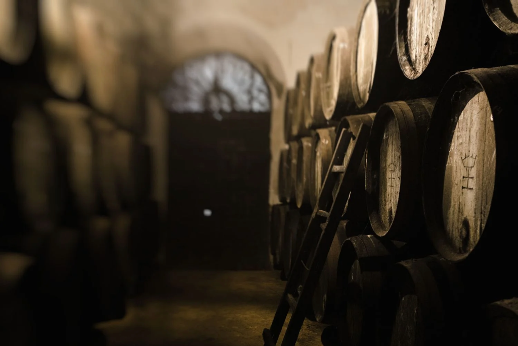 Bodegas Halcón