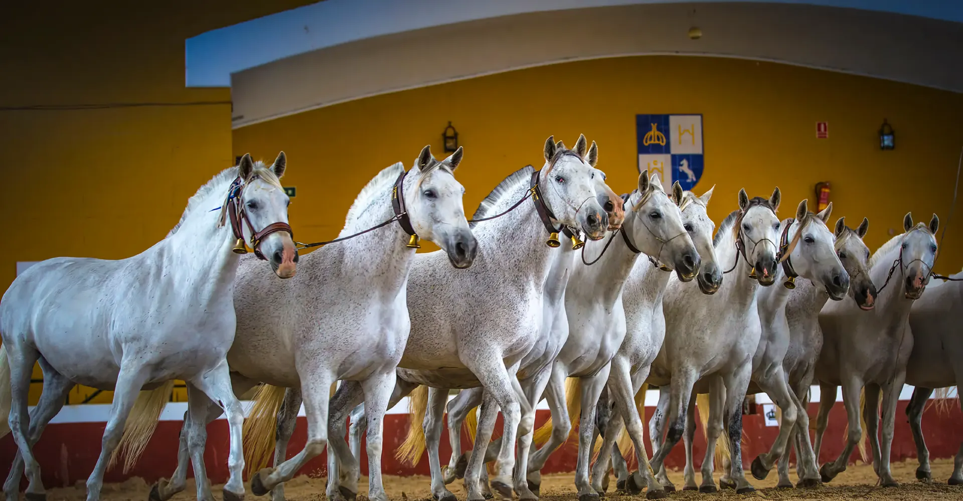 Morocco in 7 days Private Tour 4