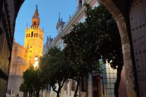 Vista Giralda Catedral Sevilla Ruta Sevilla Encantada Naturanda 1