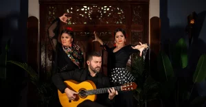 Flamenco show in Triana