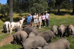 Escursione ad Aracena e itinerario del maiale iberico da Siviglia