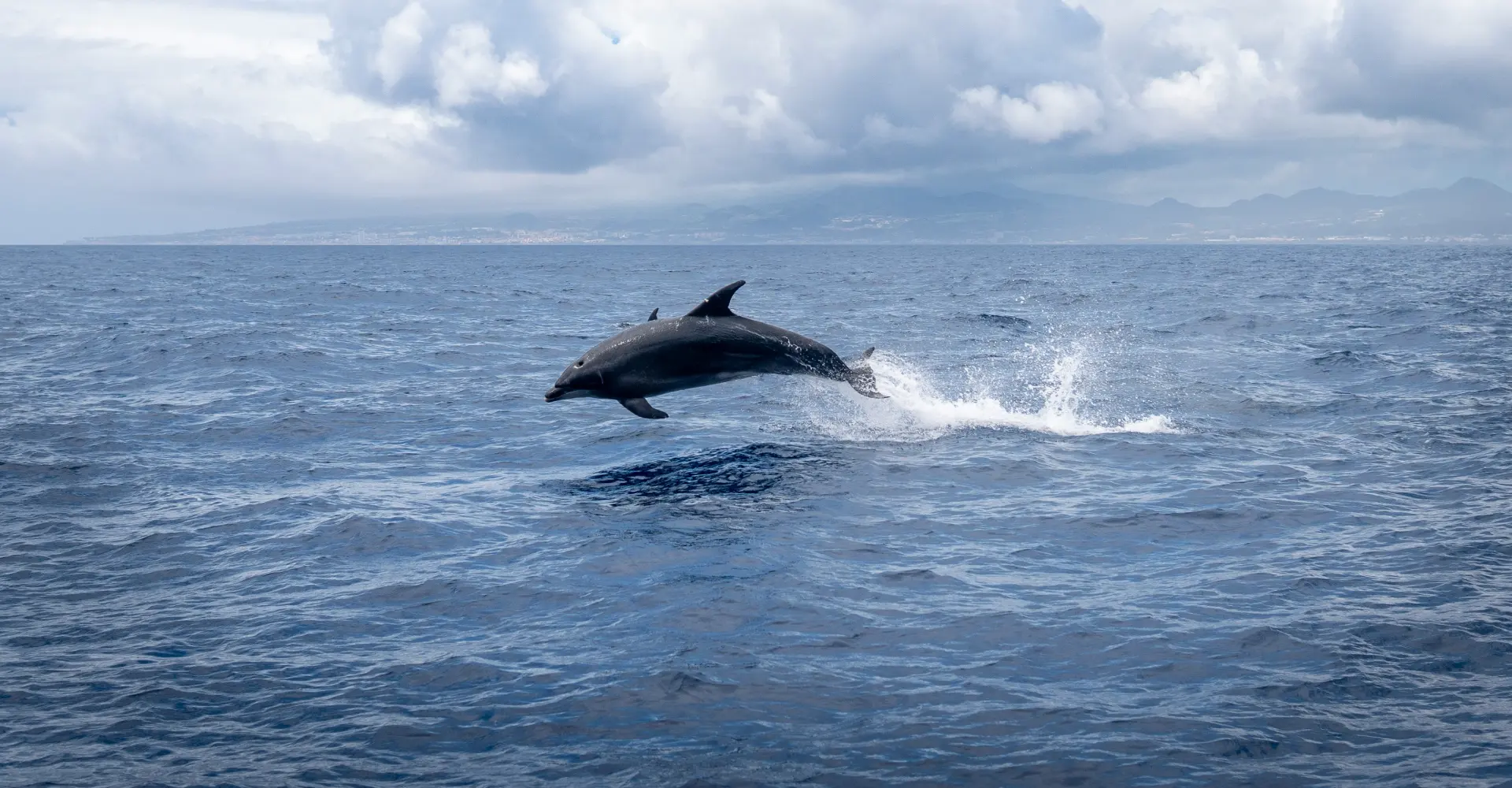 Day trips and guided tours in Cadiz 18