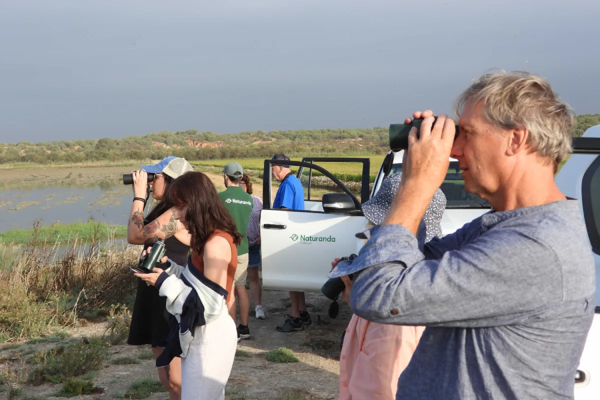 Observando Fauna Donana Excursion Privada Naturanda 1